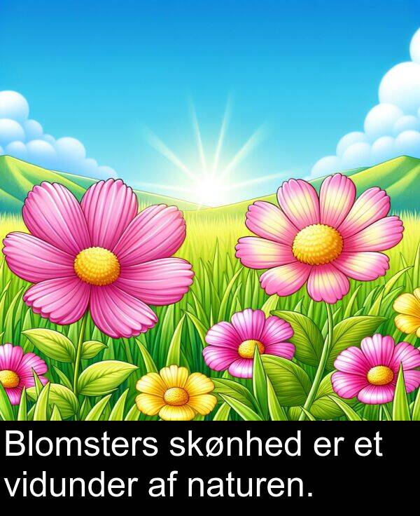vidunder: Blomsters skønhed er et vidunder af naturen.