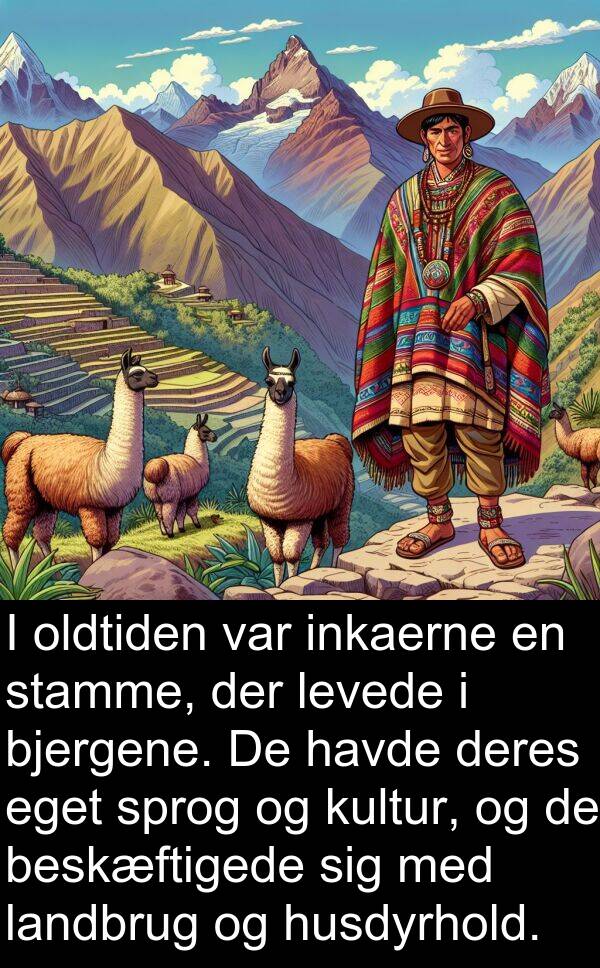 kultur: I oldtiden var inkaerne en stamme, der levede i bjergene. De havde deres eget sprog og kultur, og de beskæftigede sig med landbrug og husdyrhold.