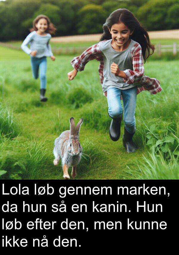 marken: Lola løb gennem marken, da hun så en kanin. Hun løb efter den, men kunne ikke nå den.