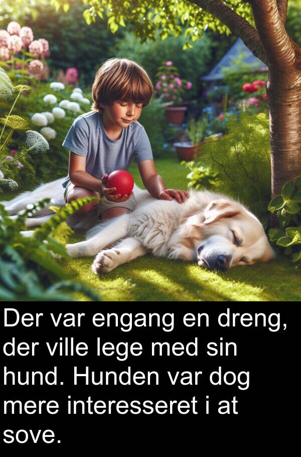 hund: Der var engang en dreng, der ville lege med sin hund. Hunden var dog mere interesseret i at sove.