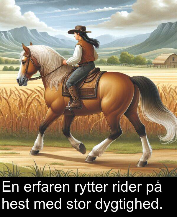 hest: En erfaren rytter rider på hest med stor dygtighed.