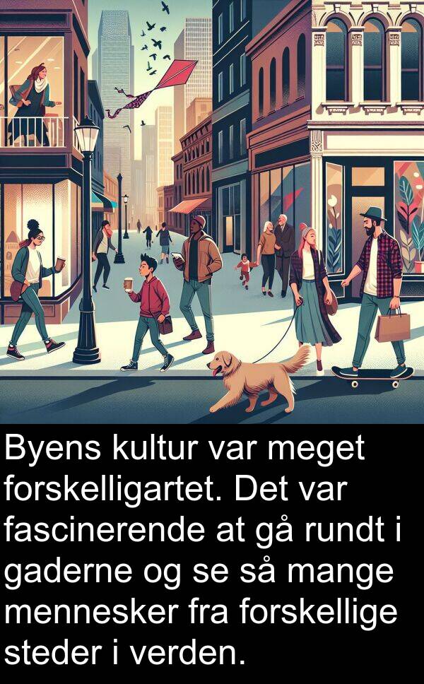 kultur: Byens kultur var meget forskelligartet. Det var fascinerende at gå rundt i gaderne og se så mange mennesker fra forskellige steder i verden.