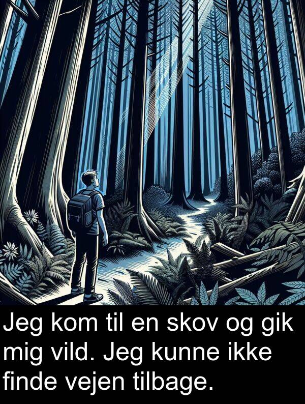 vejen: Jeg kom til en skov og gik mig vild. Jeg kunne ikke finde vejen tilbage.