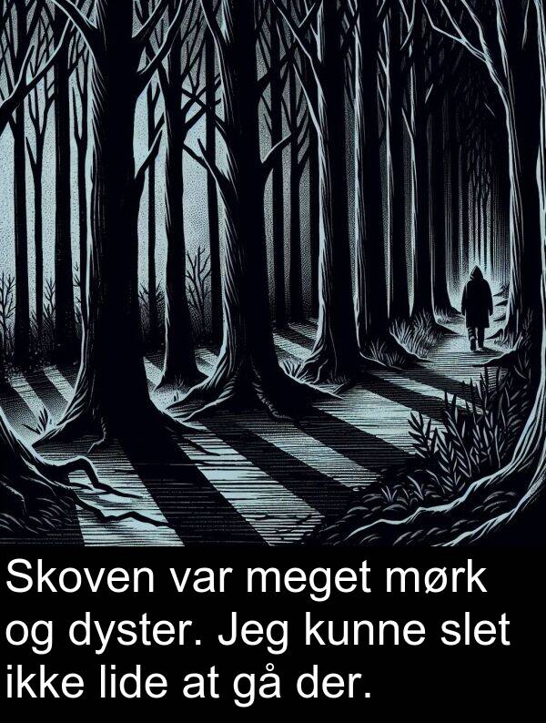 kunne: Skoven var meget mørk og dyster. Jeg kunne slet ikke lide at gå der.