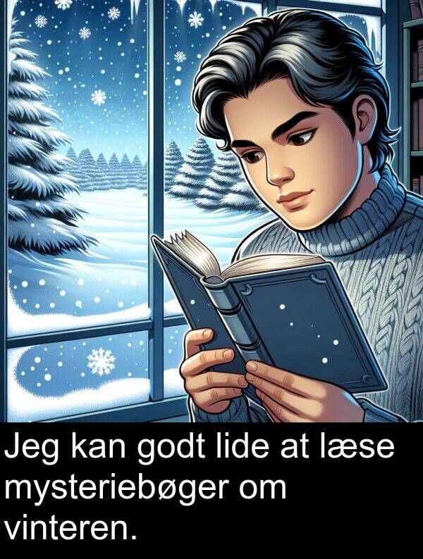 vinteren: Jeg kan godt lide at læse mysteriebøger om vinteren.