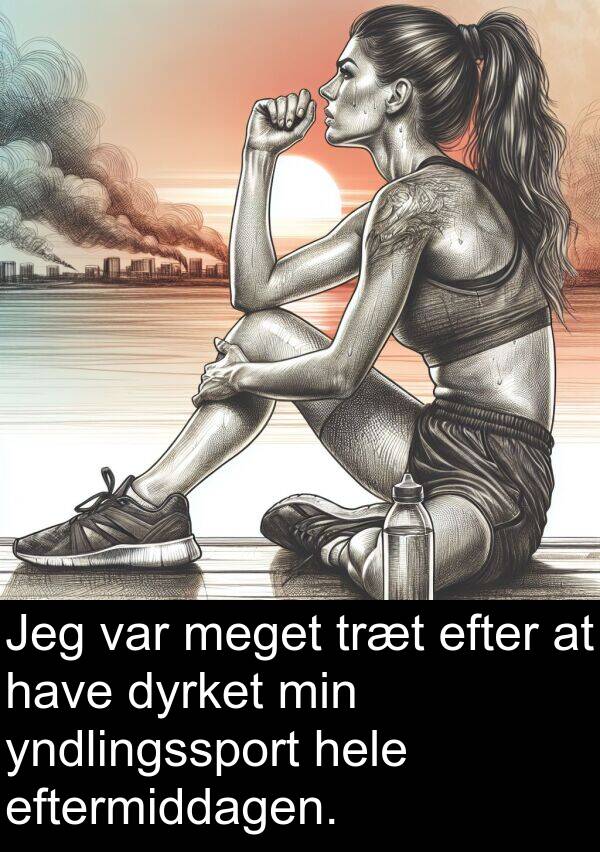 yndlingssport: Jeg var meget træt efter at have dyrket min yndlingssport hele eftermiddagen.