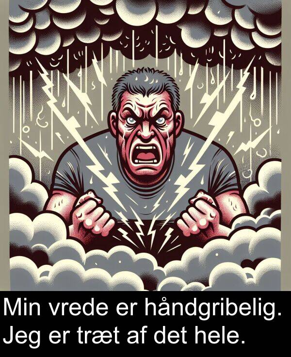 vrede: Min vrede er håndgribelig. Jeg er træt af det hele.