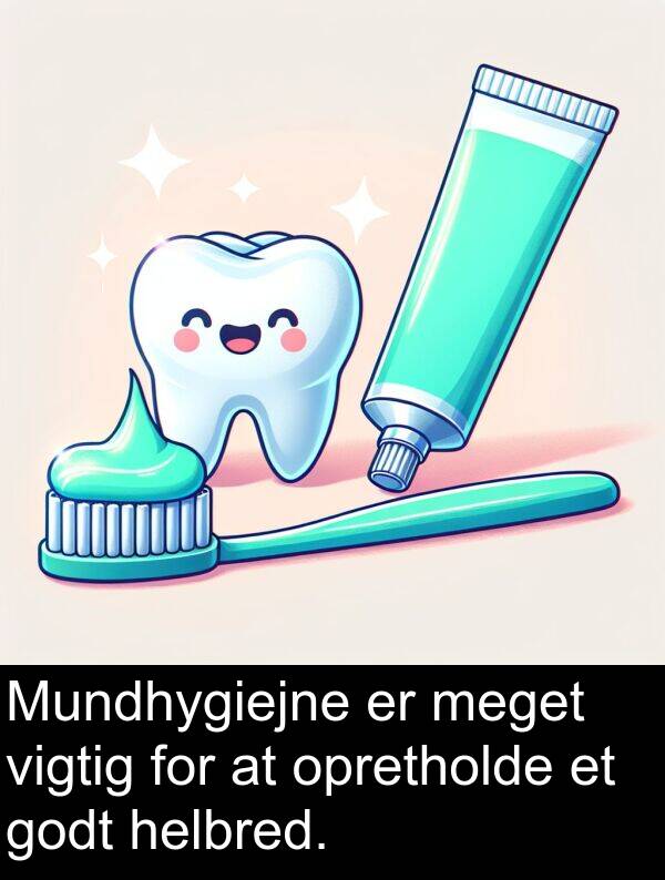 vigtig: Mundhygiejne er meget vigtig for at opretholde et godt helbred.