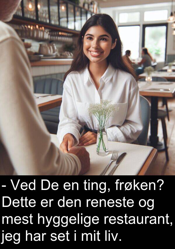 hyggelige: - Ved De en ting, frøken? Dette er den reneste og mest hyggelige restaurant, jeg har set i mit liv.