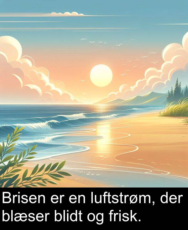 frisk: Brisen er en luftstrøm, der blæser blidt og frisk.