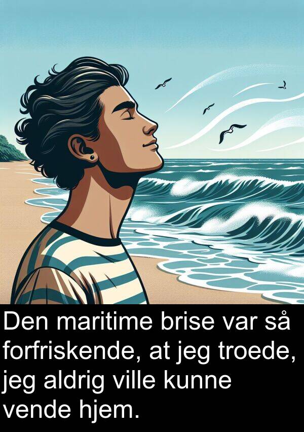 brise: Den maritime brise var så forfriskende, at jeg troede, jeg aldrig ville kunne vende hjem.