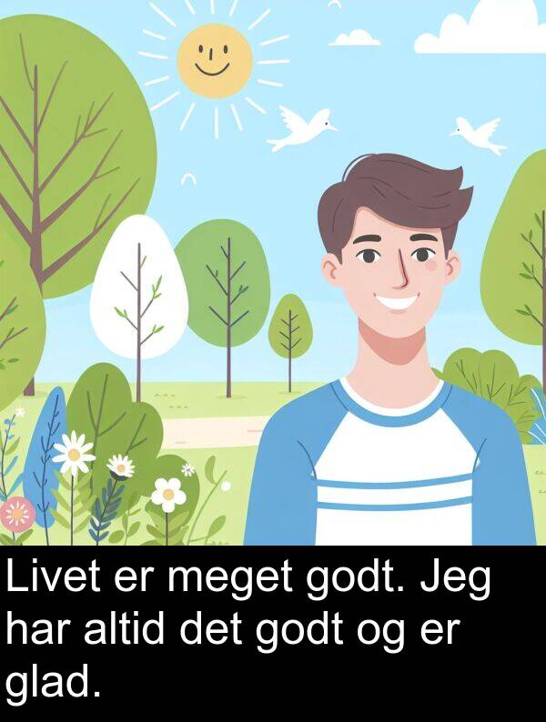 godt: Livet er meget godt. Jeg har altid det godt og er glad.