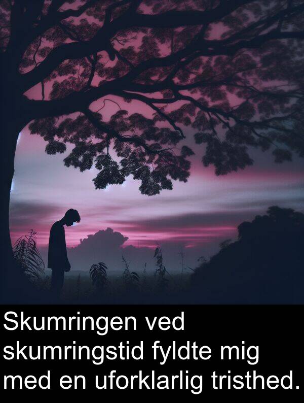 uforklarlig: Skumringen ved skumringstid fyldte mig med en uforklarlig tristhed.
