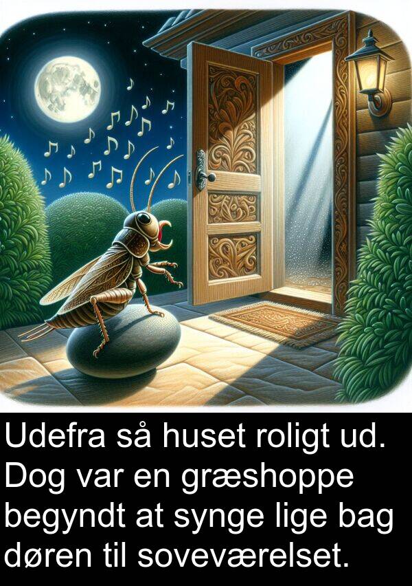 bag: Udefra så huset roligt ud. Dog var en græshoppe begyndt at synge lige bag døren til soveværelset.
