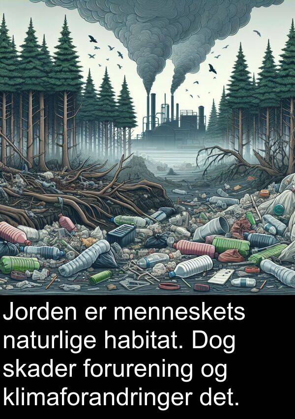 habitat: Jorden er menneskets naturlige habitat. Dog skader forurening og klimaforandringer det.