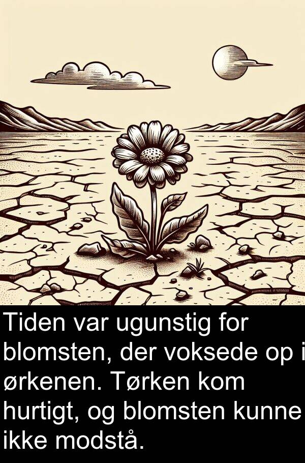 ørkenen: Tiden var ugunstig for blomsten, der voksede op i ørkenen. Tørken kom hurtigt, og blomsten kunne ikke modstå.