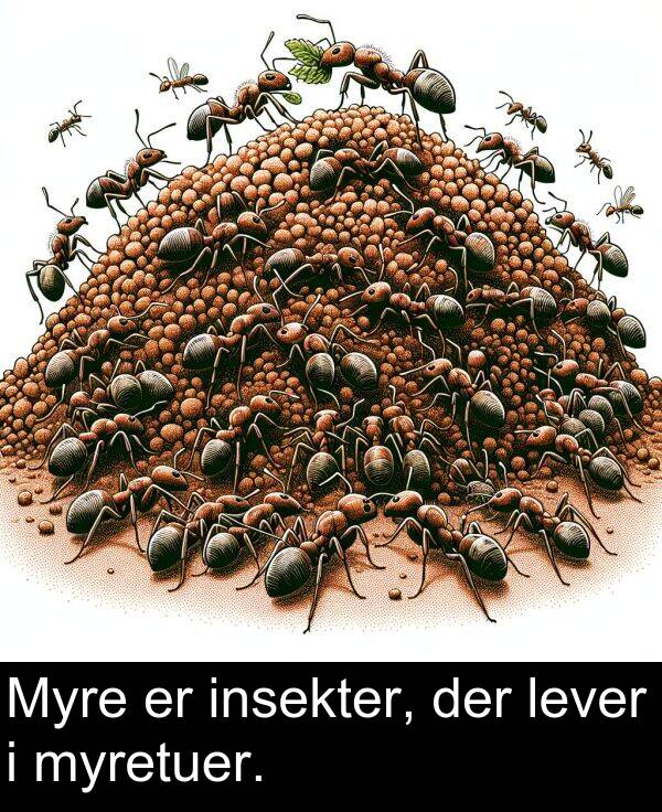 myretuer: Myre er insekter, der lever i myretuer.