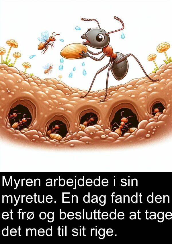 rige: Myren arbejdede i sin myretue. En dag fandt den et frø og besluttede at tage det med til sit rige.