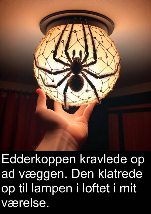 kravlede: Edderkoppen kravlede op ad væggen. Den klatrede op til lampen i loftet i mit værelse.