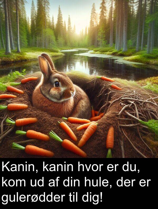 hvor: Kanin, kanin hvor er du, kom ud af din hule, der er gulerødder til dig!