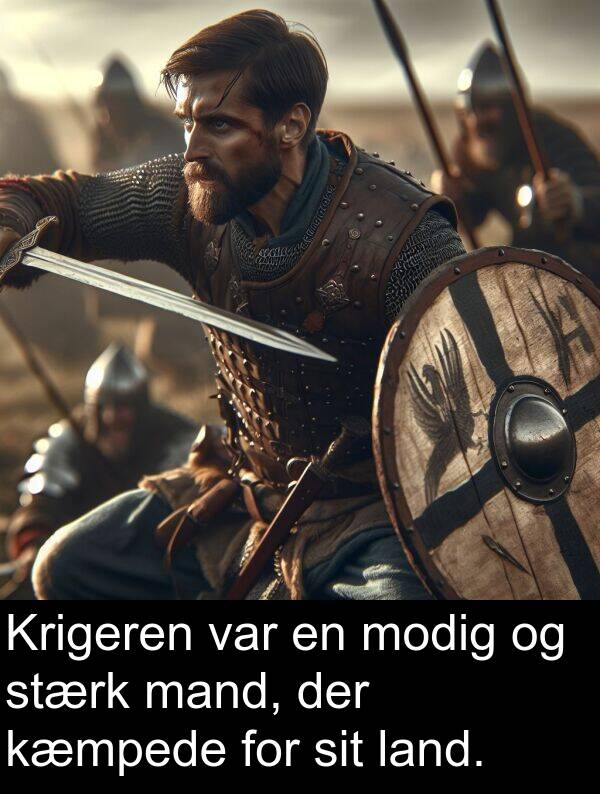 kæmpede: Krigeren var en modig og stærk mand, der kæmpede for sit land.
