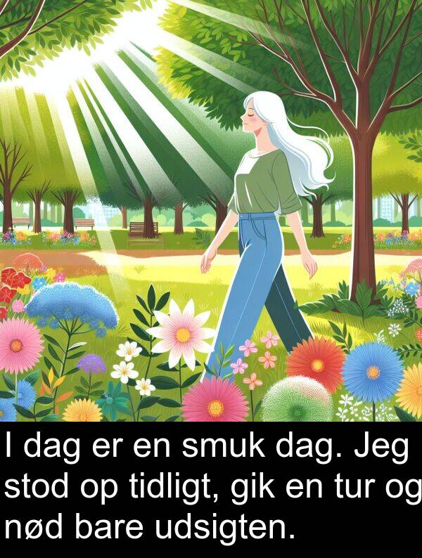 udsigten: I dag er en smuk dag. Jeg stod op tidligt, gik en tur og nød bare udsigten.