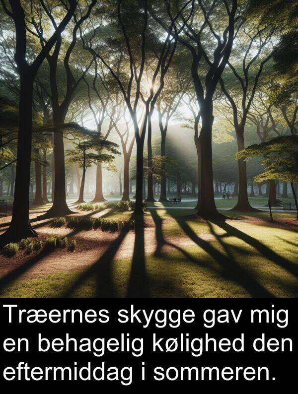kølighed: Træernes skygge gav mig en behagelig kølighed den eftermiddag i sommeren.