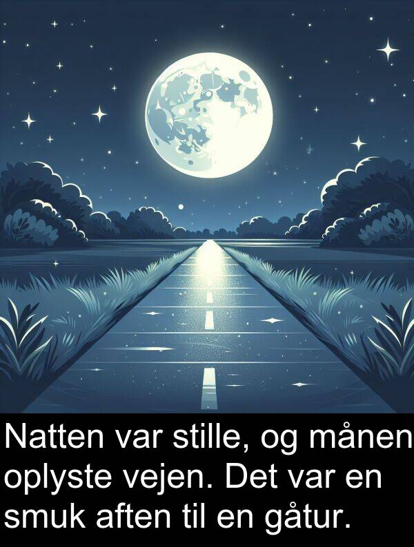 vejen: Natten var stille, og månen oplyste vejen. Det var en smuk aften til en gåtur.