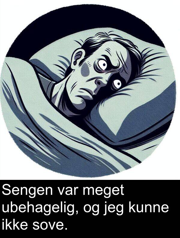 kunne: Sengen var meget ubehagelig, og jeg kunne ikke sove.