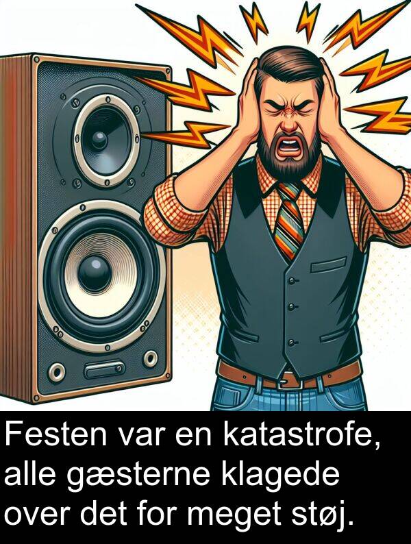 katastrofe: Festen var en katastrofe, alle gæsterne klagede over det for meget støj.
