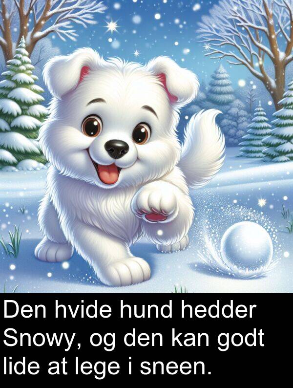 hund: Den hvide hund hedder Snowy, og den kan godt lide at lege i sneen.