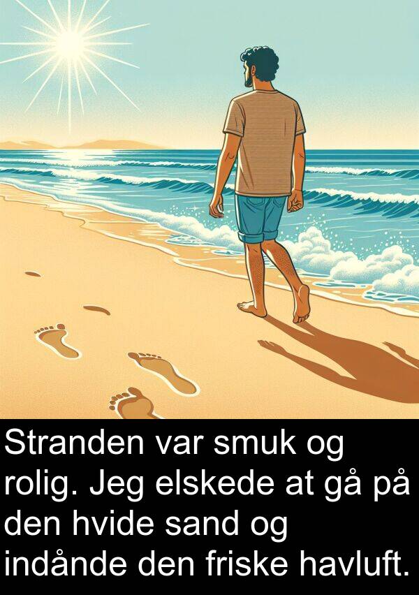 hvide: Stranden var smuk og rolig. Jeg elskede at gå på den hvide sand og indånde den friske havluft.