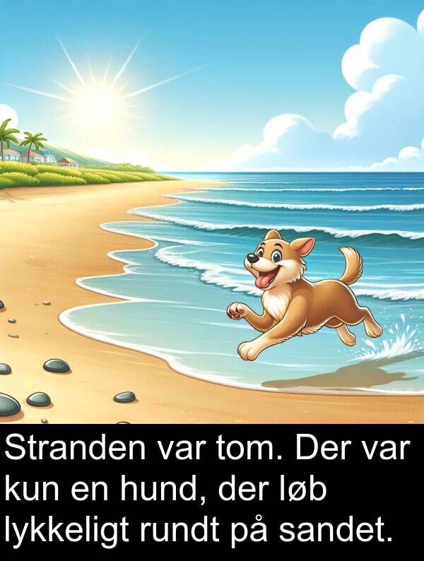 kun: Stranden var tom. Der var kun en hund, der løb lykkeligt rundt på sandet.