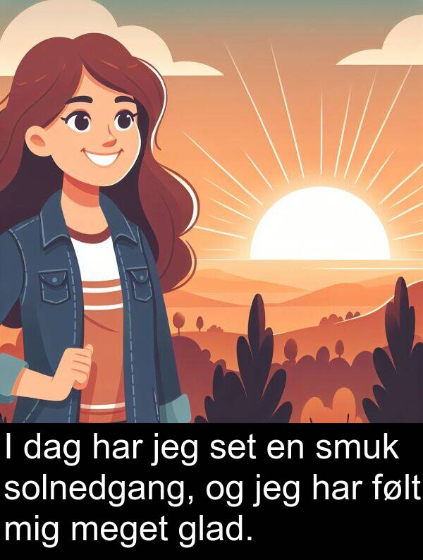 glad: I dag har jeg set en smuk solnedgang, og jeg har følt mig meget glad.