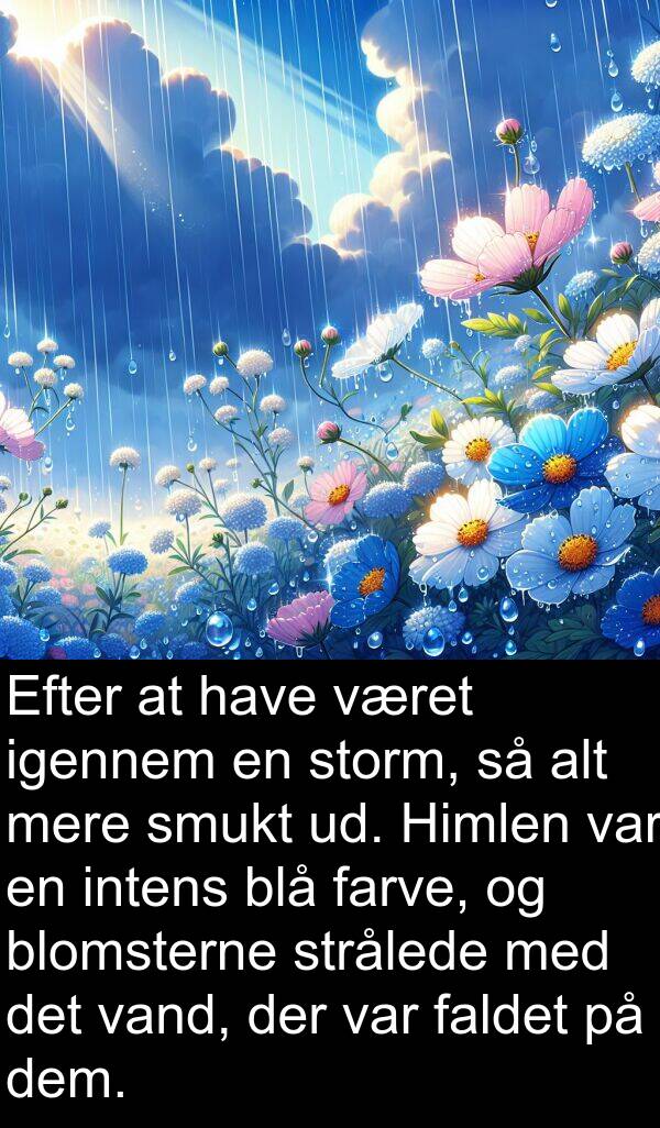 været: Efter at have været igennem en storm, så alt mere smukt ud. Himlen var en intens blå farve, og blomsterne strålede med det vand, der var faldet på dem.