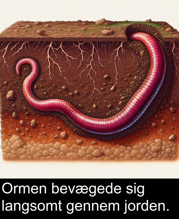 jorden: Ormen bevægede sig langsomt gennem jorden.