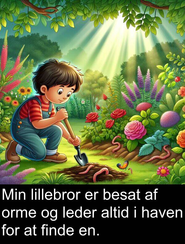 haven: Min lillebror er besat af orme og leder altid i haven for at finde en.
