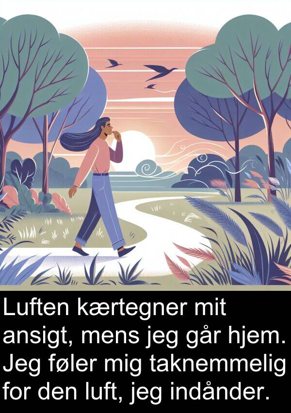 kærtegner: Luften kærtegner mit ansigt, mens jeg går hjem. Jeg føler mig taknemmelig for den luft, jeg indånder.