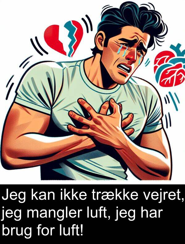 vejret: Jeg kan ikke trække vejret, jeg mangler luft, jeg har brug for luft!