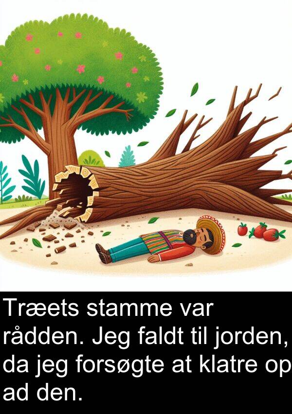 jorden: Træets stamme var rådden. Jeg faldt til jorden, da jeg forsøgte at klatre op ad den.