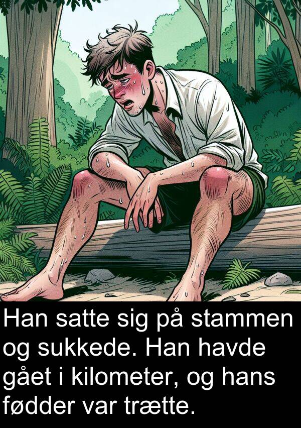kilometer: Han satte sig på stammen og sukkede. Han havde gået i kilometer, og hans fødder var trætte.
