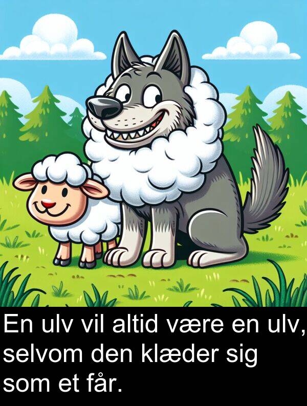 ulv: En ulv vil altid være en ulv, selvom den klæder sig som et får.