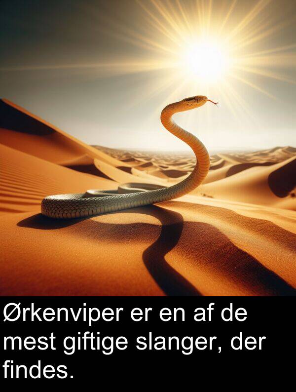 giftige: Ørkenviper er en af de mest giftige slanger, der findes.