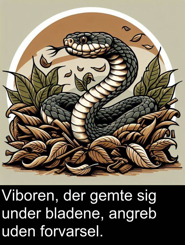 under: Viboren, der gemte sig under bladene, angreb uden forvarsel.