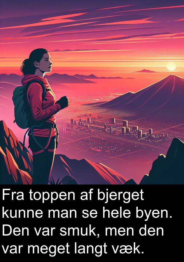 væk: Fra toppen af bjerget kunne man se hele byen. Den var smuk, men den var meget langt væk.