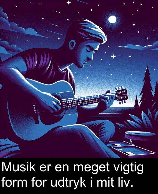 vigtig: Musik er en meget vigtig form for udtryk i mit liv.