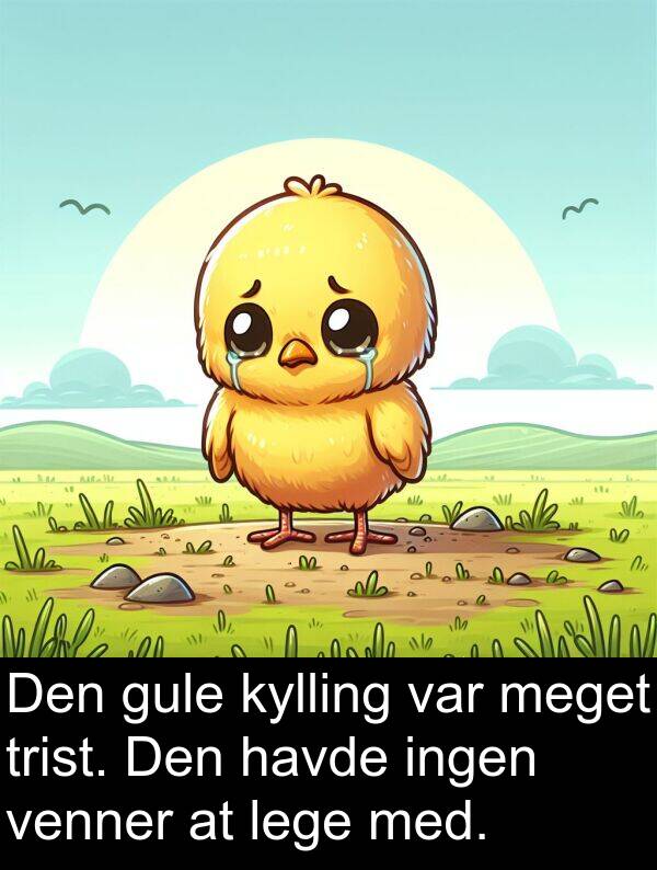 kylling: Den gule kylling var meget trist. Den havde ingen venner at lege med.