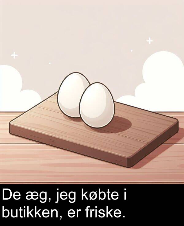 købte: De æg, jeg købte i butikken, er friske.
