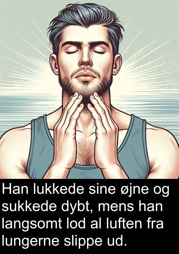 øjne: Han lukkede sine øjne og sukkede dybt, mens han langsomt lod al luften fra lungerne slippe ud.