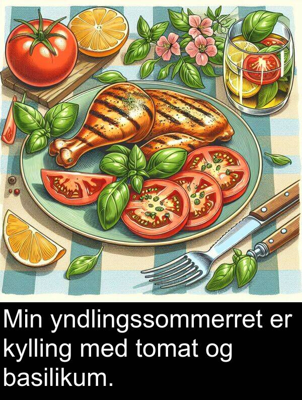 kylling: Min yndlingssommerret er kylling med tomat og basilikum.